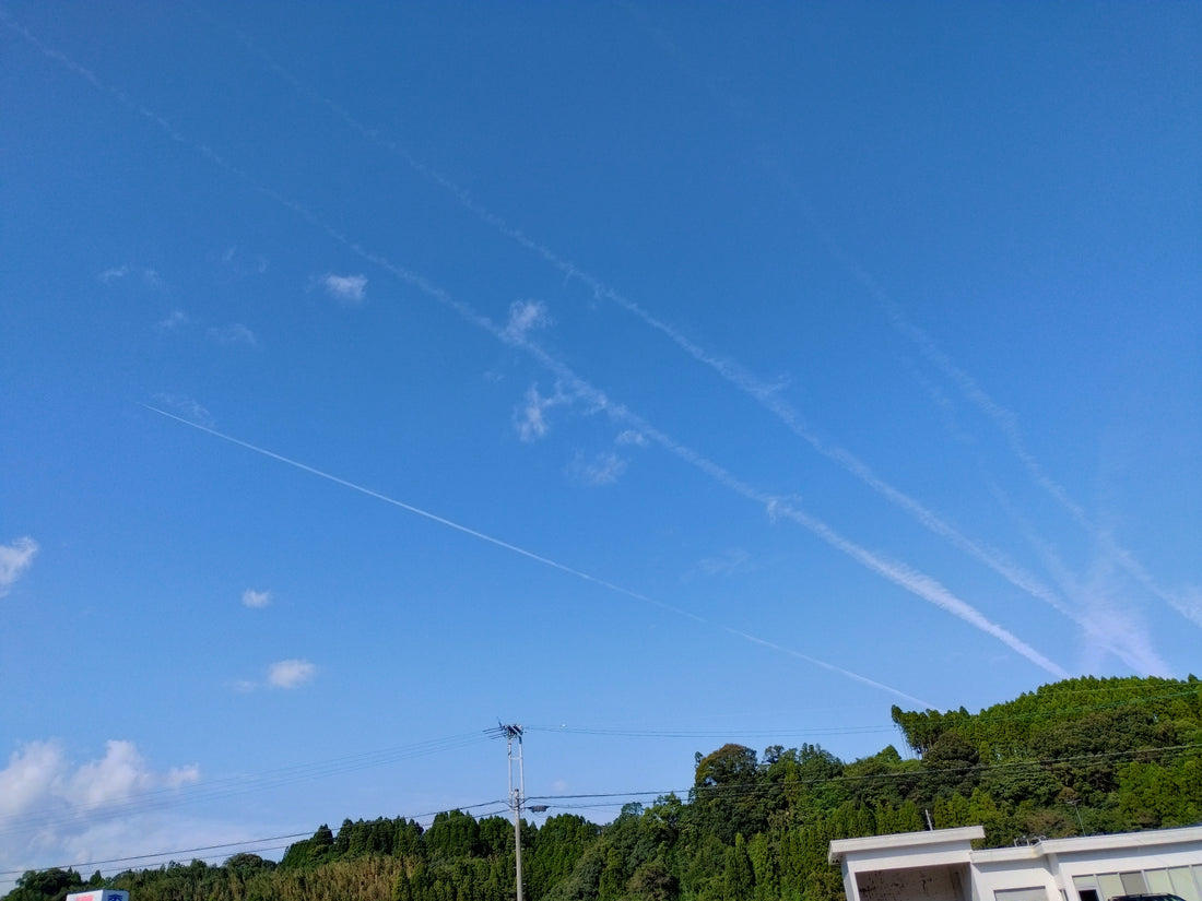 高い空 ✈️